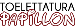 Toelettatura Papillon Cantù